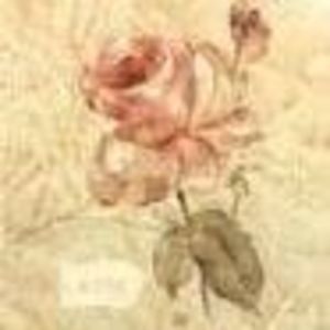 Meet your Posher, Dorothy